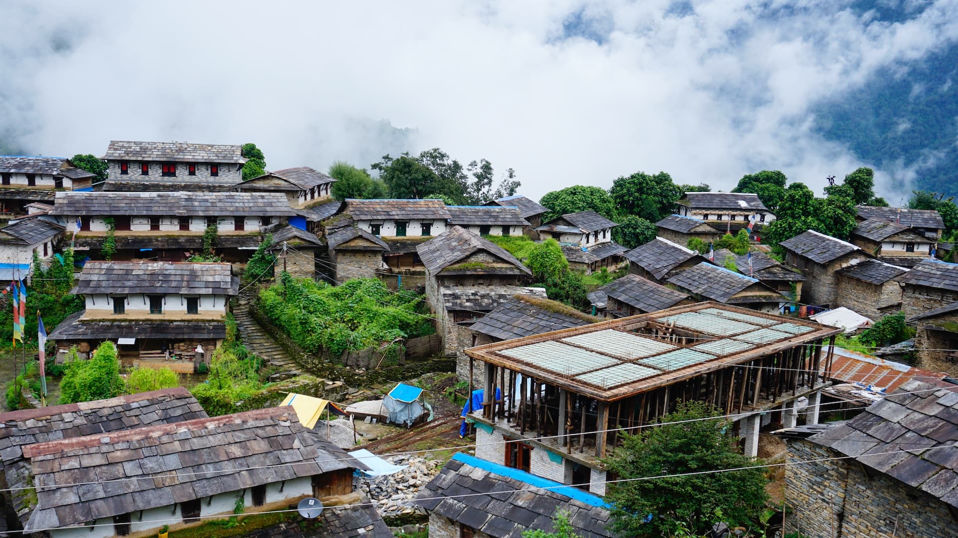 group of houses in village during foggy sky