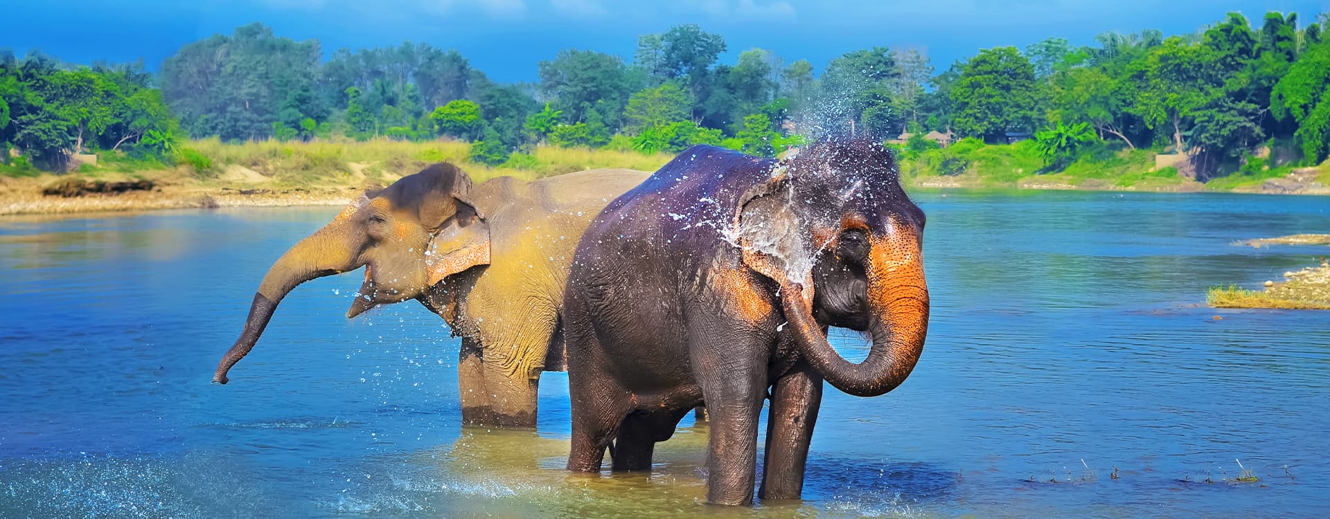 Chitwan National Park