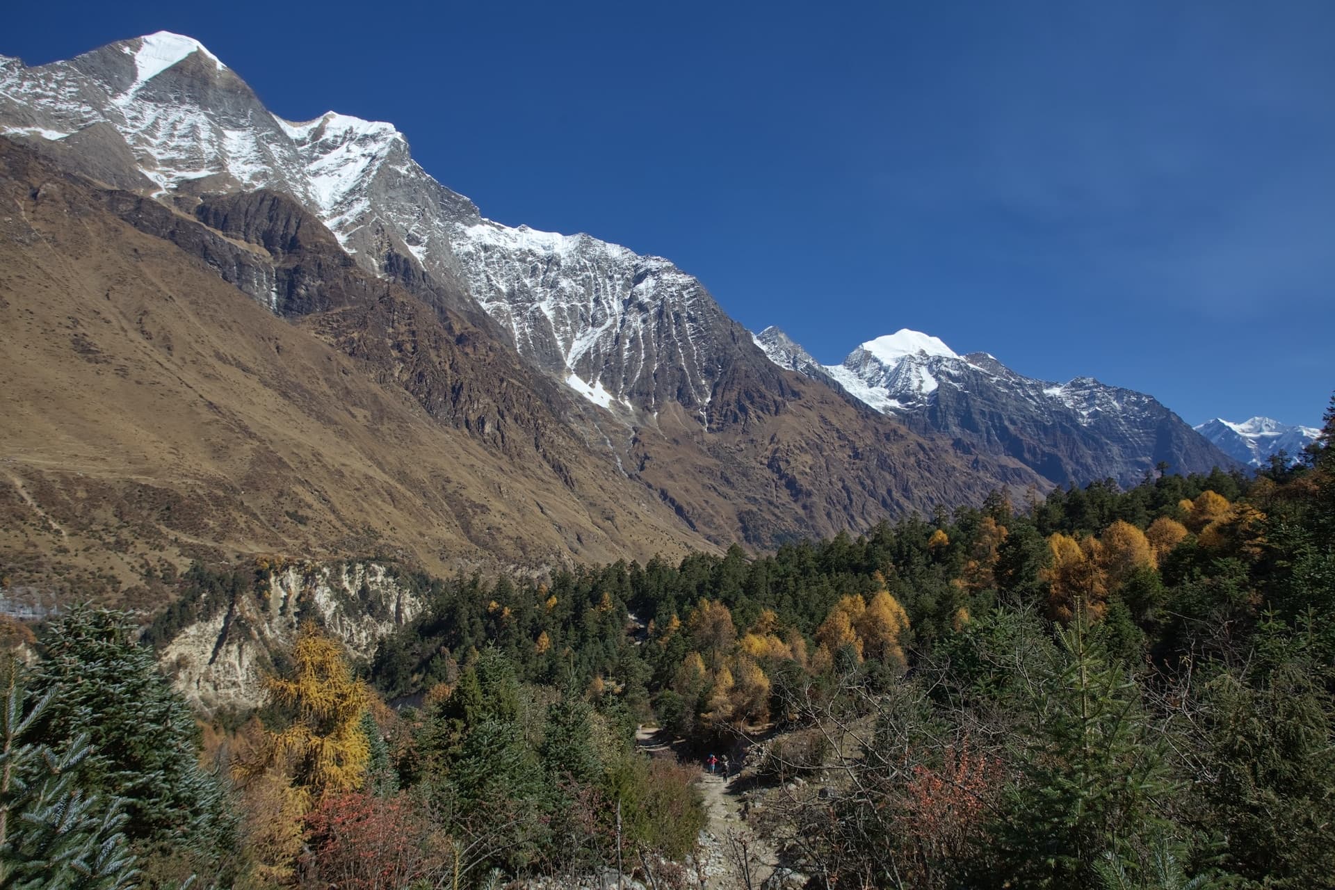 snow capped hills under blue sky