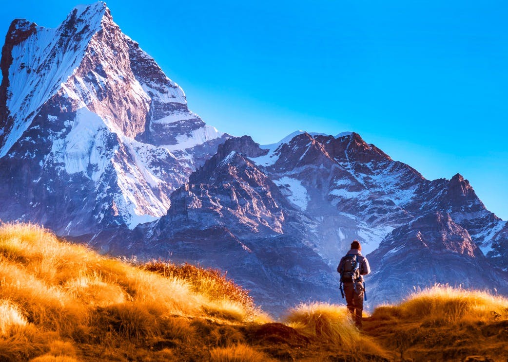 Mardi Himal Trek | Trekking in Nepal 2023/2024 : The Hidden Gem of the Annapurna Region